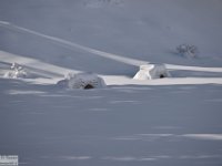 2017-12-29 V. del Morretano 189